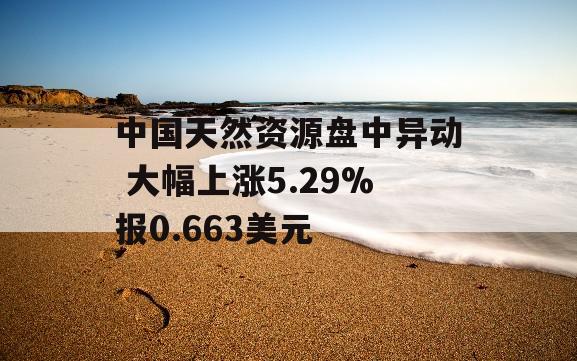 中国天然资源盘中异动 大幅上涨5.29%报0.663美元